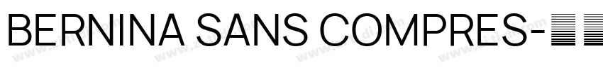BERNINA SANS COMPRES字体转换